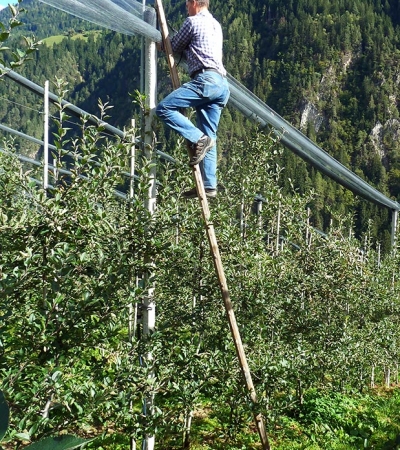 Loan Südtiroler Einholmleiter Spezialeiter Tischlerei Zöschg St. Pankraz Ultental